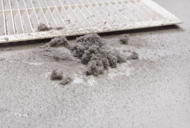 Best Ductwork Cleaning Services  in Metzger, OR